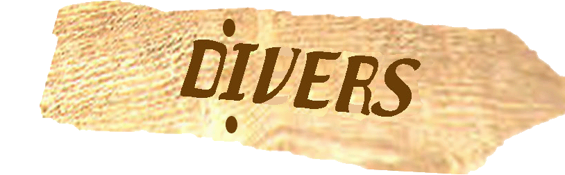 divers